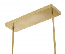 ZP135C38BR -7.jpg